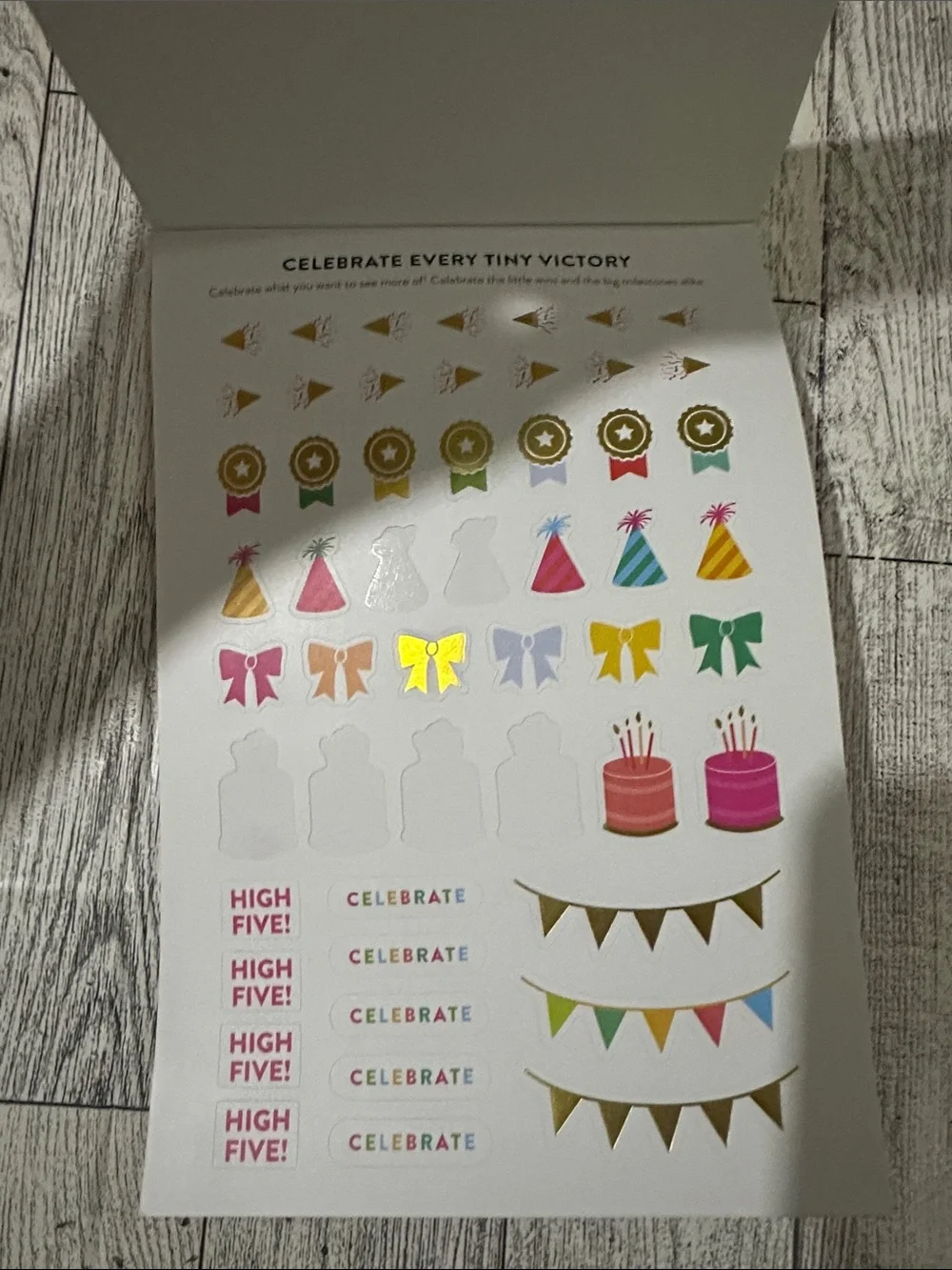 Goal Setting Sticker Book - Pink & Gold Striped